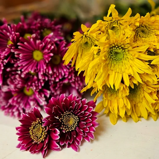 Module 3: fresh magenta and yellow mums piled on the worktable, ready for printing